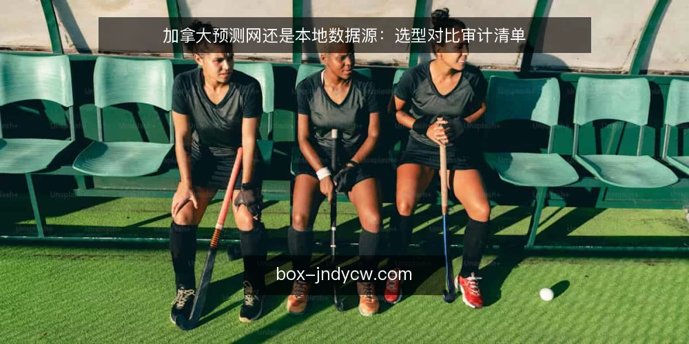 加拿大预测网还是本地数据源：选型对比审计清单 — 为什么现在要审计数据源选型 配图