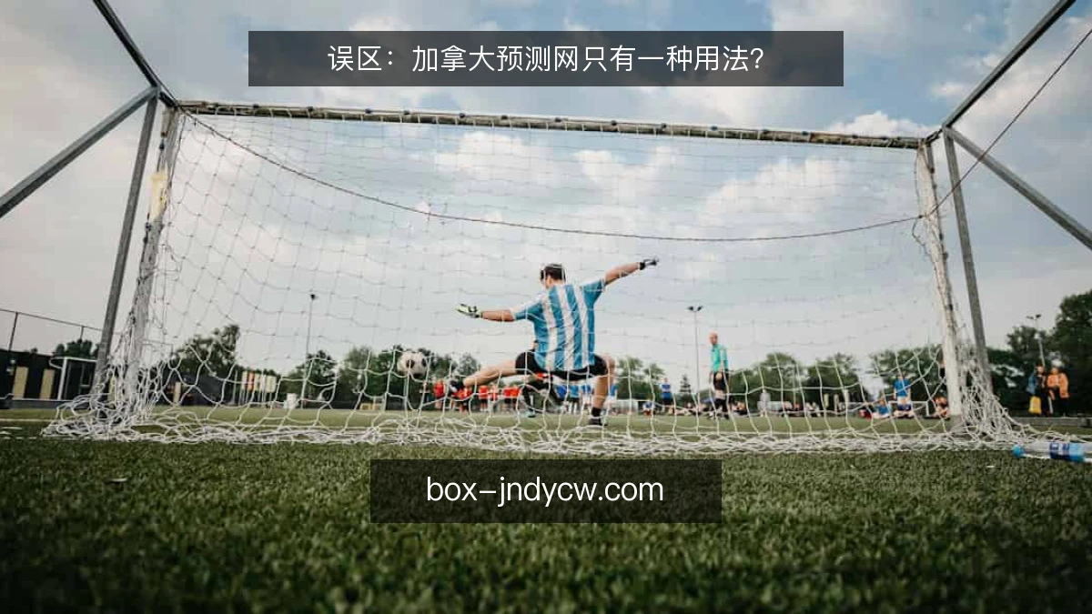 误区：加拿大预测网只有一种用法？
