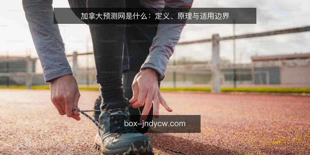 加拿大预测网是什么：定义、原理与适用边界 — 加拿大预测网是什么：一个信息聚合工具 配图