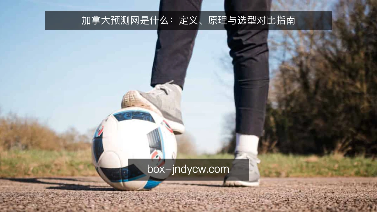 加拿大预测网是什么：定义、原理与选型对比指南