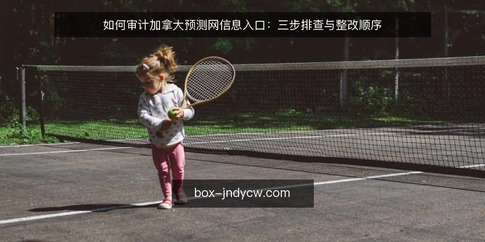 如何审计加拿大预测网信息入口:三步排查与整改顺序 — 为什么现在要做一次入口审计 配图