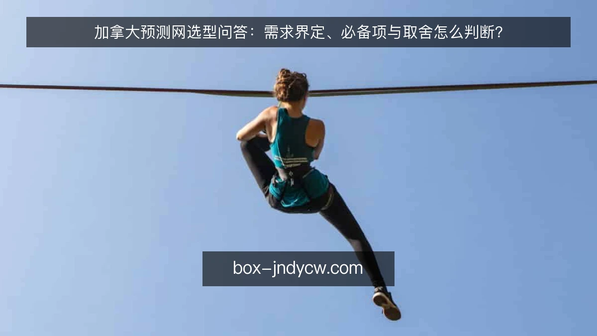 加拿大预测网选型问答：需求界定、必备项与取舍怎么判断？