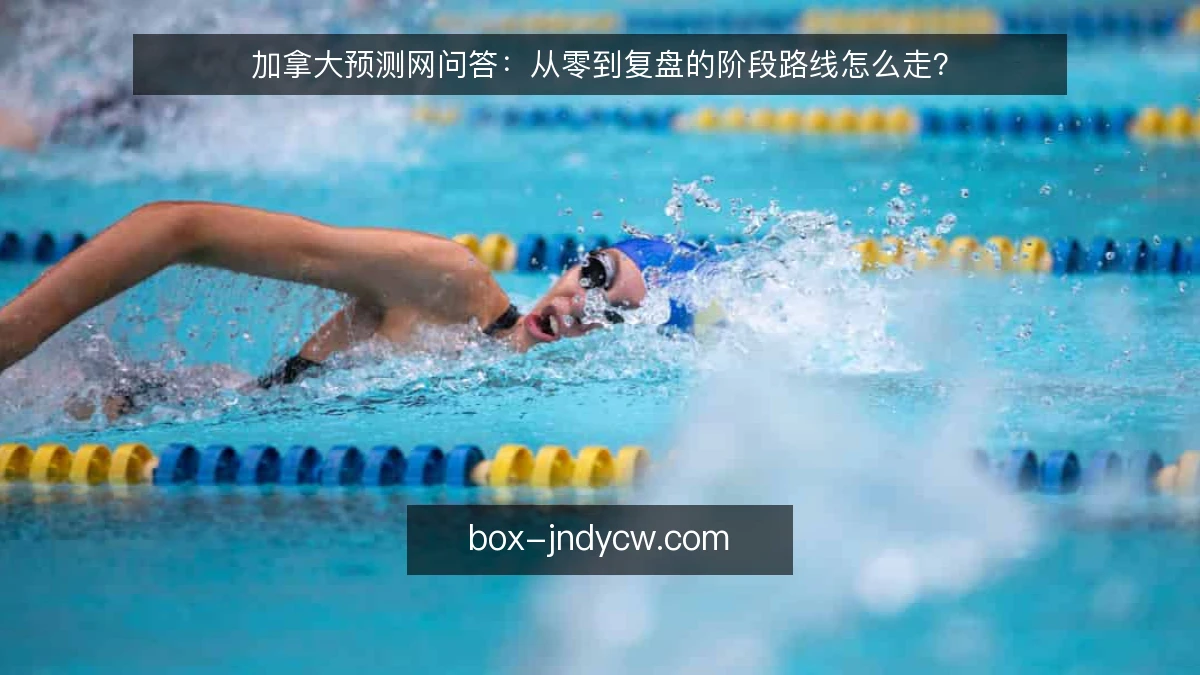 加拿大预测网问答：从零到复盘的阶段路线怎么走？